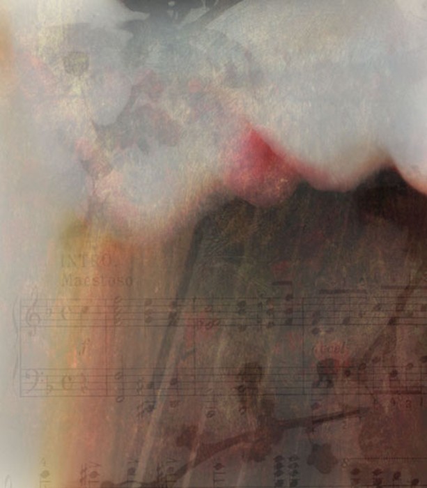 Afternoon Etude